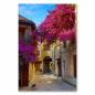 Preview: Eine enge Gasse in Italien, geschmückt mit üppigen, pinken Bougainvillea-Blüten, strahlt mediterranes Flair aus.